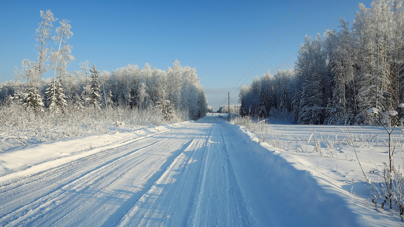 Snowy Road