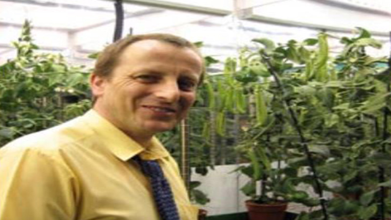 Darren Rose, University of Sheffield