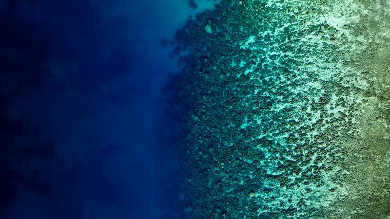 Aerial-view-looking-down-of-abstract-patterns-created-by-tropical-barrier-reef-in-the-ocean