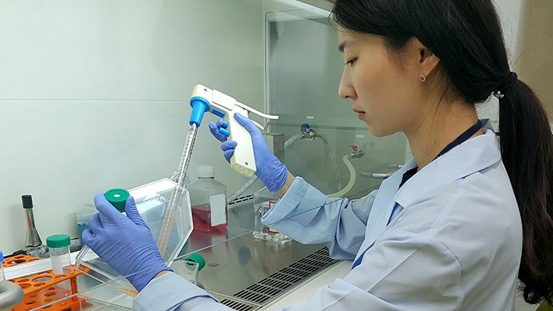 Laboratory
