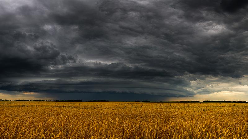 Dark cloudy sky above a field