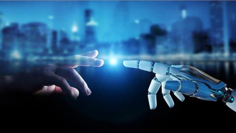 Human hand and robot hand