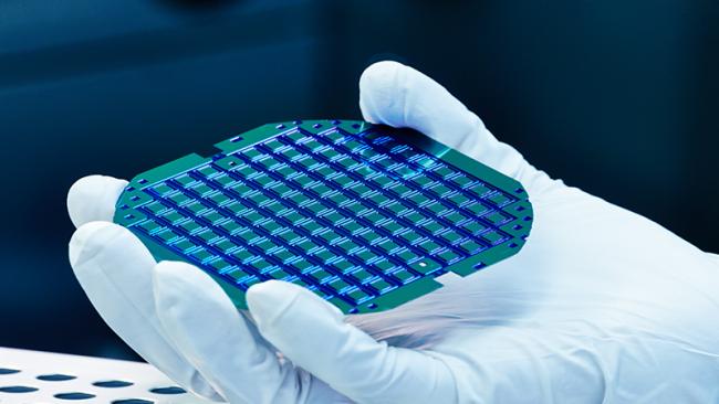Wafer in hand