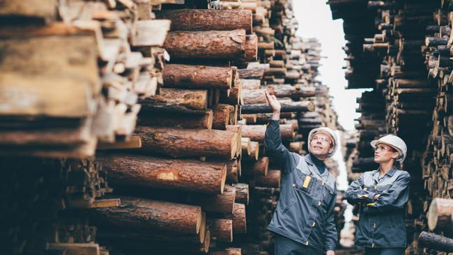 Timber workers