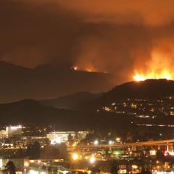 Wildfire